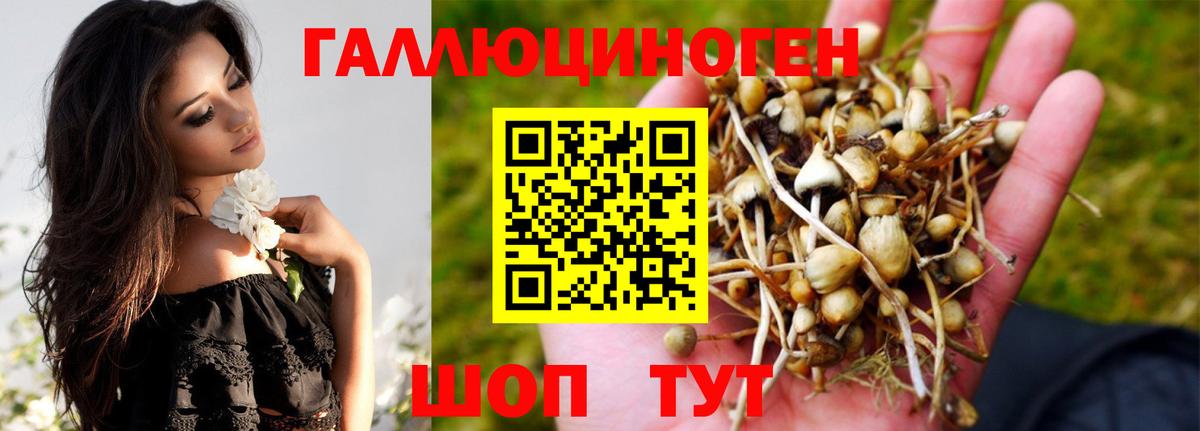 Псилоцибиновые грибы мухоморы Таганрог